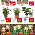 Antevisão Folheto LIDL Promoções de 17 a 23 fevereiro p24.jpg